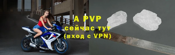 ALPHA PVP Ельня