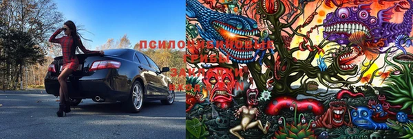ПСИЛОЦИБИНОВЫЕ ГРИБЫ Елабуга