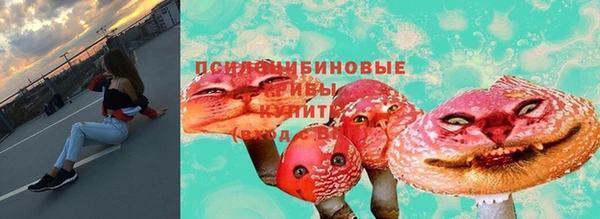 ПСИЛОЦИБИНОВЫЕ ГРИБЫ Елабуга