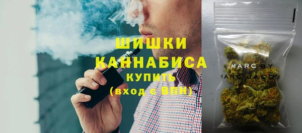 ПСИЛОЦИБИНОВЫЕ ГРИБЫ Елабуга